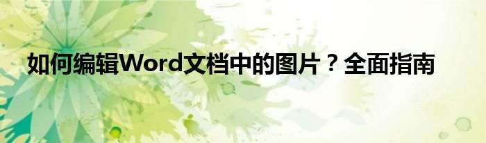 如何编辑Word文档中的图片？全面指南
