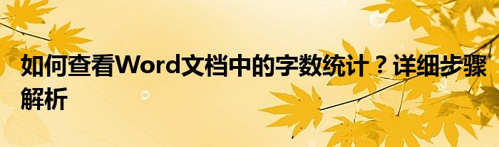 如何查看Word文档中的字数统计？详细步骤解析