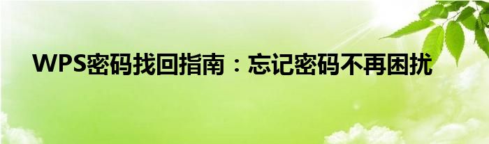 WPS密码找回指南：忘记密码不再困扰