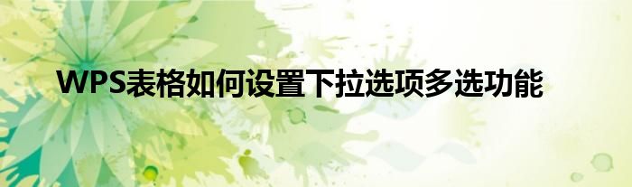 WPS表格如何设置下拉选项多选功能