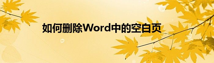 如何删除Word中的空白页