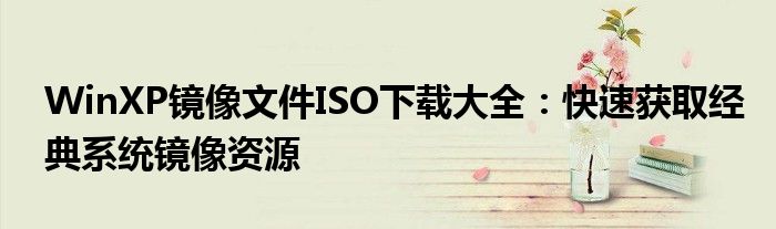WinXP镜像文件ISO下载大全：快速获取经典系统镜像资源