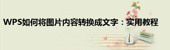 WPS如何将图片内容转换成文字：实用教程
