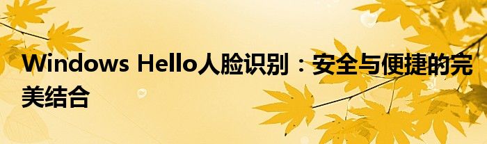 Windows Hello人脸识别：安全与便捷的完美结合