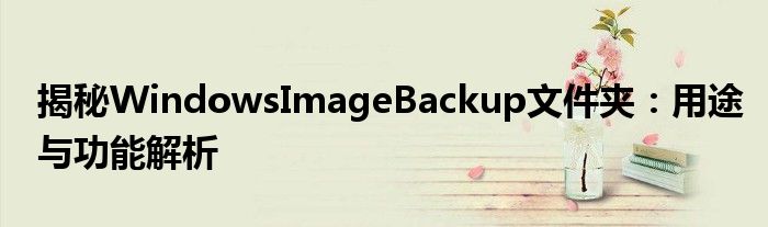 揭秘WindowsImageBackup文件夹：用途与功能解析