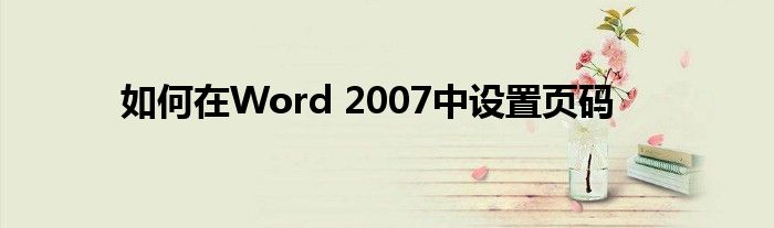 如何在Word 2007中设置页码