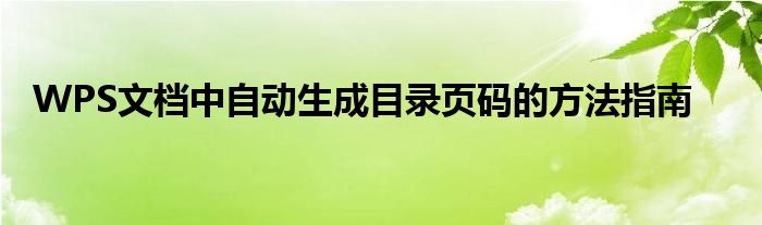 WPS文档中自动生成目录页码的方法指南