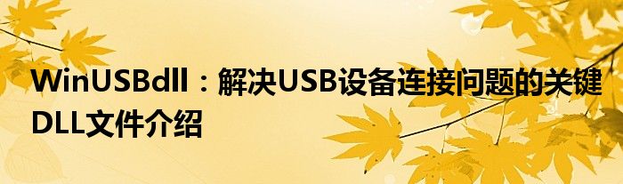 WinUSBdll：解决USB设备连接问题的关键DLL文件介绍