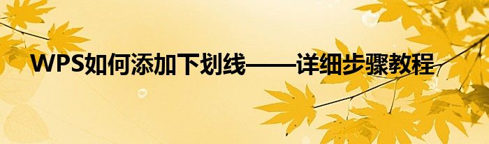 WPS如何添加下划线——详细步骤教程