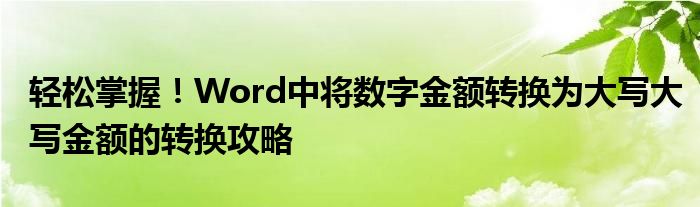 轻松掌握！Word中将数字金额转换为大写大写金额的转换攻略