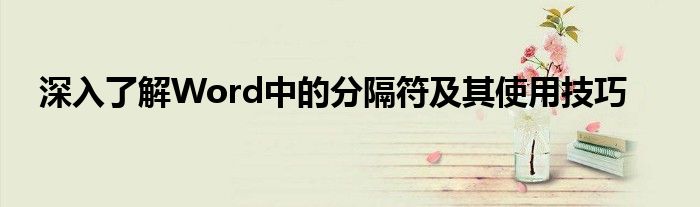深入了解Word中的分隔符及其使用技巧