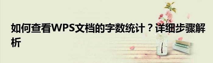 如何查看WPS文档的字数统计？详细步骤解析