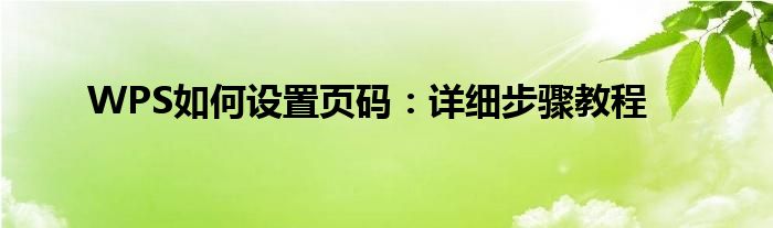 WPS如何设置页码：详细步骤教程