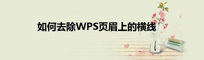 如何去除WPS页眉上的横线