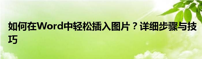 如何在Word中轻松插入图片？详细步骤与技巧