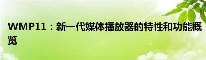 WMP11：新一代媒体播放器的特性和功能概览