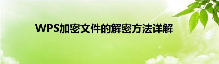 WPS加密文件的解密方法详解