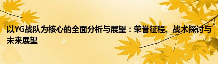 以YG战队为核心的全面分析与展望：荣誉征程、战术探讨与未来展望