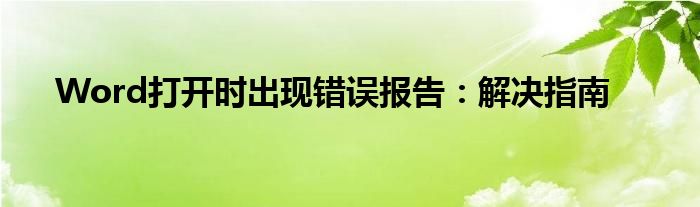 Word打开时出现错误报告：解决指南