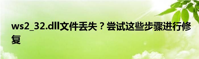 ws2_32.dll文件丢失？尝试这些步骤进行修复