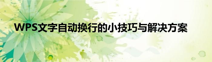WPS文字自动换行的小技巧与解决方案