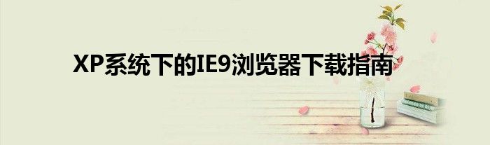 XP系统下的IE9浏览器下载指南