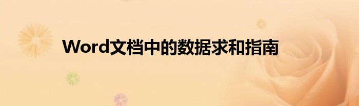 Word文档中的数据求和指南