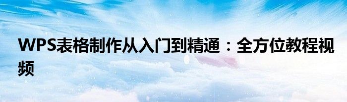 WPS表格制作从入门到精通：全方位教程视频