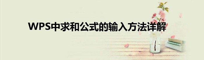 WPS中求和公式的输入方法详解