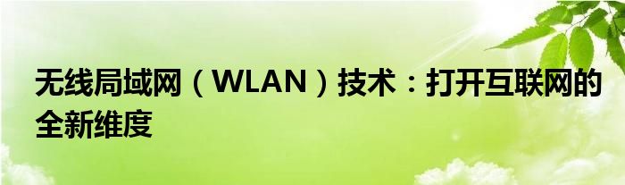 无线局域网（WLAN）技术：打开互联网的全新维度