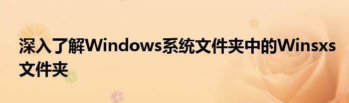 深入了解Windows系统文件夹中的Winsxs文件夹