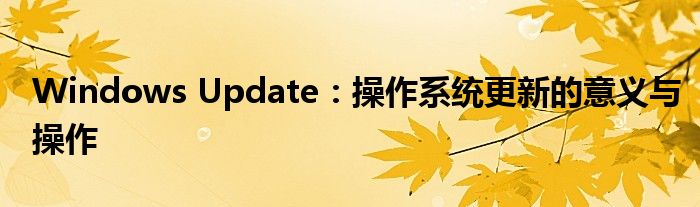 Windows Update：操作系统更新的意义与操作