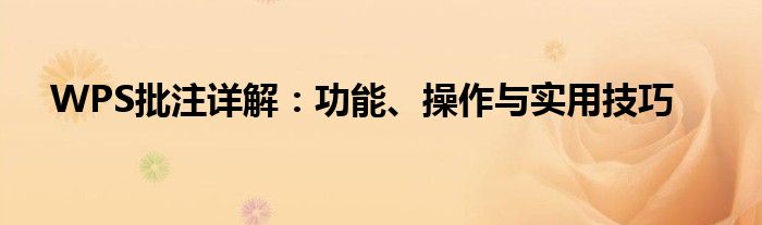 WPS批注详解：功能、操作与实用技巧