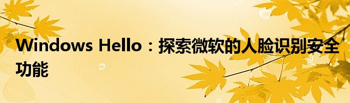 Windows Hello：探索微软的人脸识别安全功能