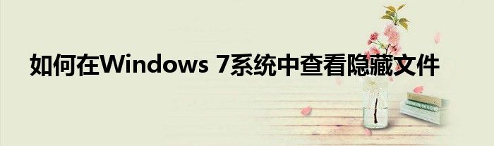 如何在Windows 7系统中查看隐藏文件