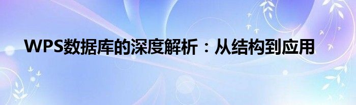 WPS数据库的深度解析：从结构到应用