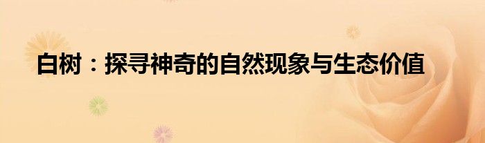 白树：探寻神奇的自然现象与生态价值