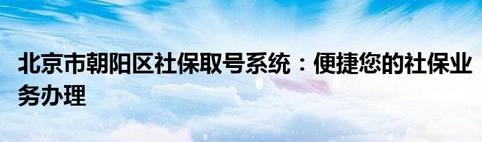 北京市朝阳区社保取号系统：便捷您的社保业务办理