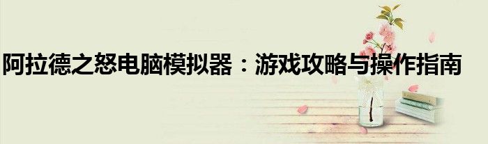 阿拉德之怒电脑模拟器：游戏攻略与操作指南
