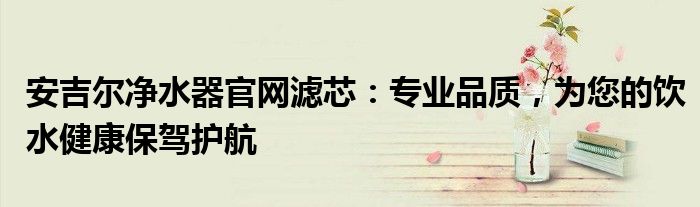 安吉尔净水器官网滤芯：专业品质，为您的饮水健康保驾护航