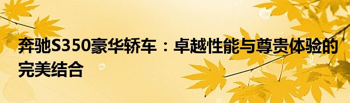奔驰S350豪华轿车：卓越性能与尊贵体验的完美结合