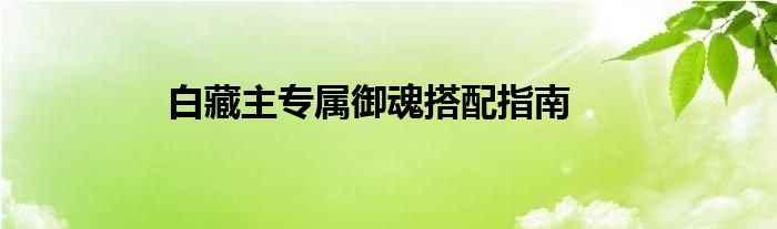 白藏主专属御魂搭配指南