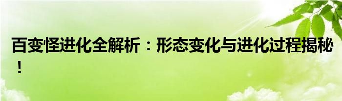 百变怪进化全解析：形态变化与进化过程揭秘！