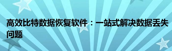 高效比特数据恢复软件：一站式解决数据丢失问题