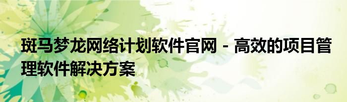 斑马梦龙网络计划软件官网 - 高效的项目管理软件解决方案