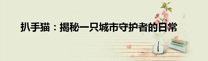 扒手猫：揭秘一只城市守护者的日常