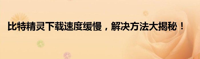 比特精灵下载速度缓慢，解决方法大揭秘！
