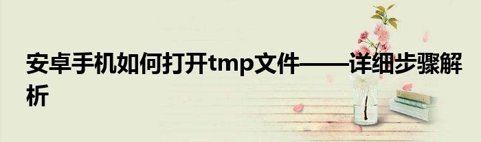 安卓手机如何打开tmp文件——详细步骤解析