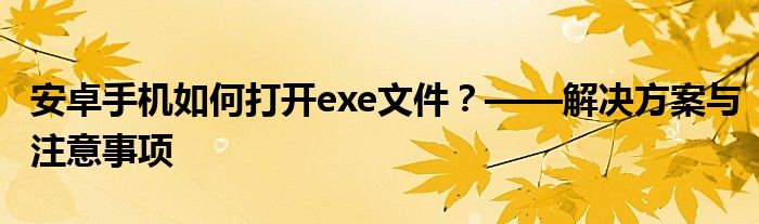 安卓手机如何打开exe文件？——解决方案与注意事项