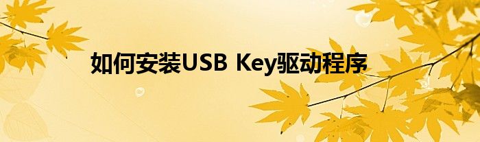 如何安装USB Key驱动程序